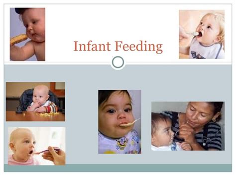 The Importance Of Breastfeeding On Infant Gut Development Ppt