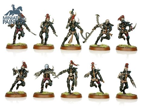 Drukhari Wyches Miniature Painters