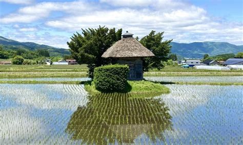 すべての季節で美しい 田んぼの中にポツンと佇む荒神神社の四季に反響2022年12月10日BIGLOBEニュース