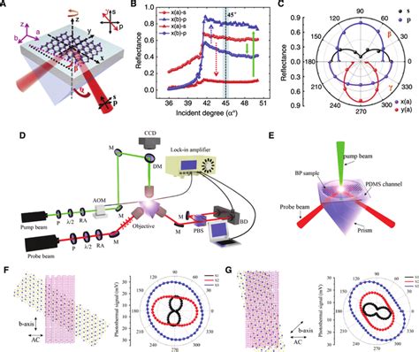 Photothermal Properties Of Twisted Two Dimensional Materials T2dm Download Scientific