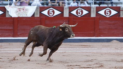 La Escuela De Tauromaquia De La Diputaci N Desarrollar Novilladas