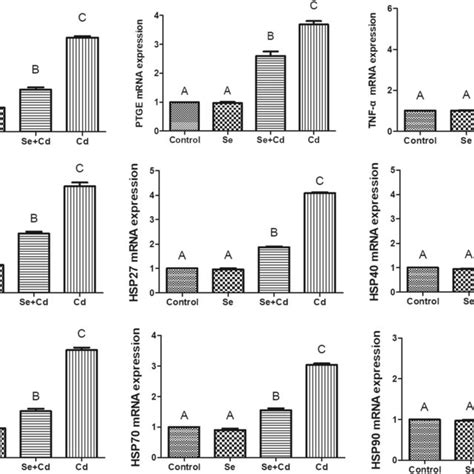 Effects Of Se On The Mrna Expression Of Inos Ptge Tnf Nf B And