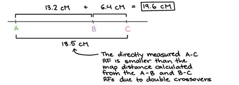 How To Calculate Map Distance Big Bus Tour Map