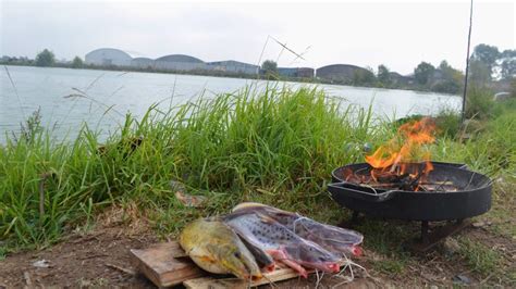 Aca Pescas Pejerreyes Bagres Amarillos Y Carpones Pescaen La Tosquera