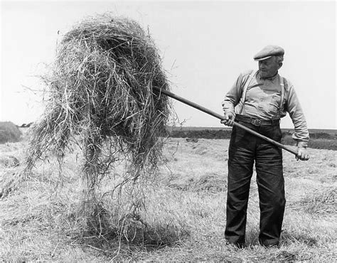 A Farmer With Pitchfork Available As Framed Prints Photos Wall Art