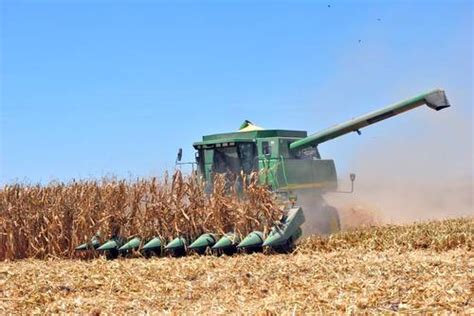 La Jornada Sector Alimentario Crece A Un Ritmo Mayor Que La Econom A