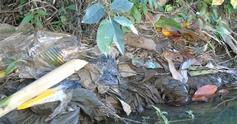 Mengidentifikasi Jenis Jenis Sampah Plastik Yang Mencemari Lingkungan