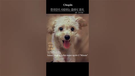 한국인이 사랑하는 클래식 명곡 L 한국인이 좋아하는 클래식 명곡 ㅣ쇼팽 강아지 왈츠 Chopin Minute