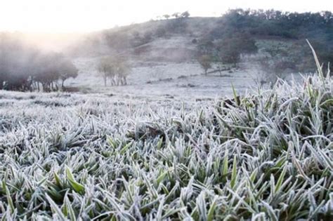 Agosto começa chuva e frio previsão é de geada nesta semana para