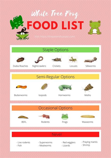 White Tree Frog Diet - Food Chart And Feeding Guide