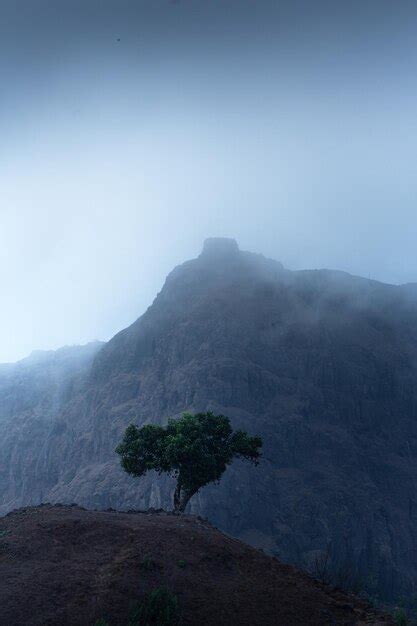 Premium Photo | Rajgad fort