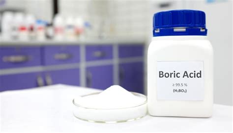 How To Mix Boric Acid For Termites | Pest Master