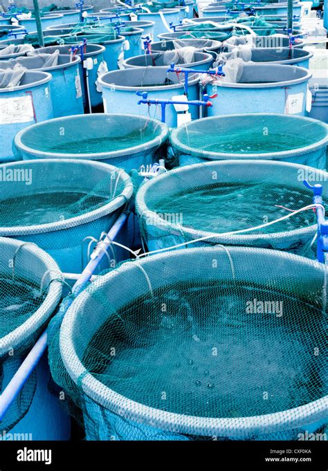 Agriculture Aquaculture Farm Stock Photo Alamy