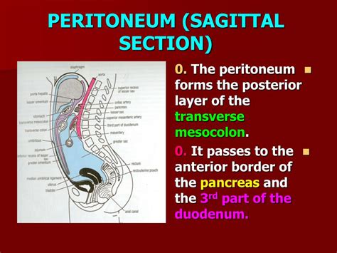 Ppt Parts Powerpoint Presentation Free Download Id5654904