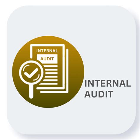 Internal Audit Masterclass Internal Audit Practical Training