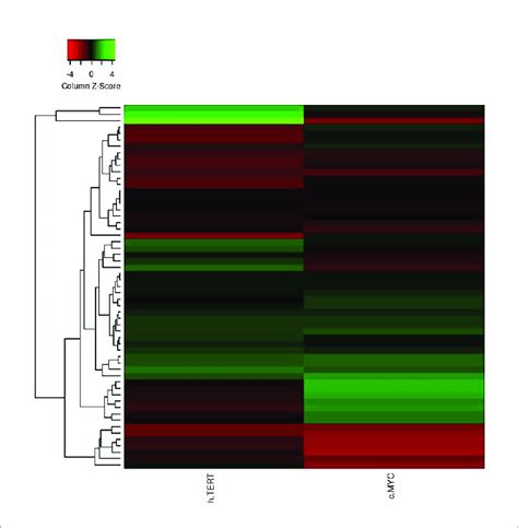 The Heat Map Plot Of Htert And C Myc Expression Columns Of The Plot Download Scientific