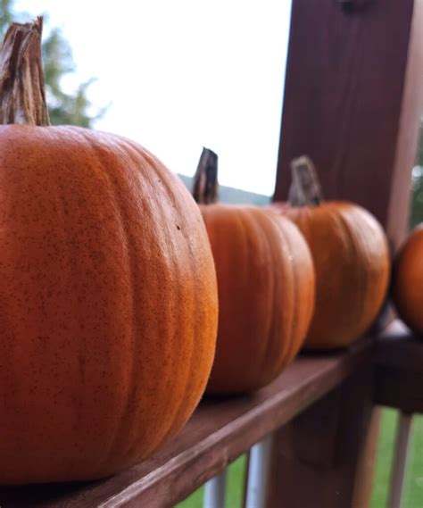 How To Cook A Fresh Pumpkin The Creekside Cook