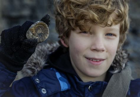 Of The Best Fossil Hunting Beaches In Yorkshire Seafern Cottage