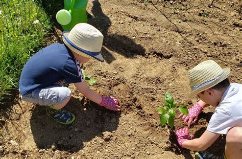 Boys In The Garden Growing Minds