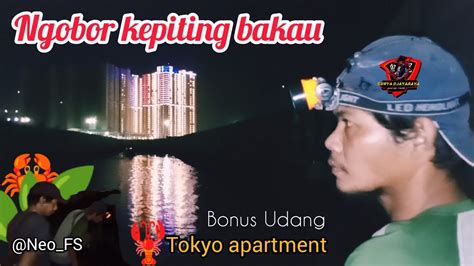 Berburu Kepiting Bakau Di Malam Hari Ngobor Dapat Bonus Udang