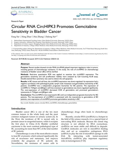 Pdf Circular Rna Circhipk3 Promotes Gemcitabine Sensitivity In