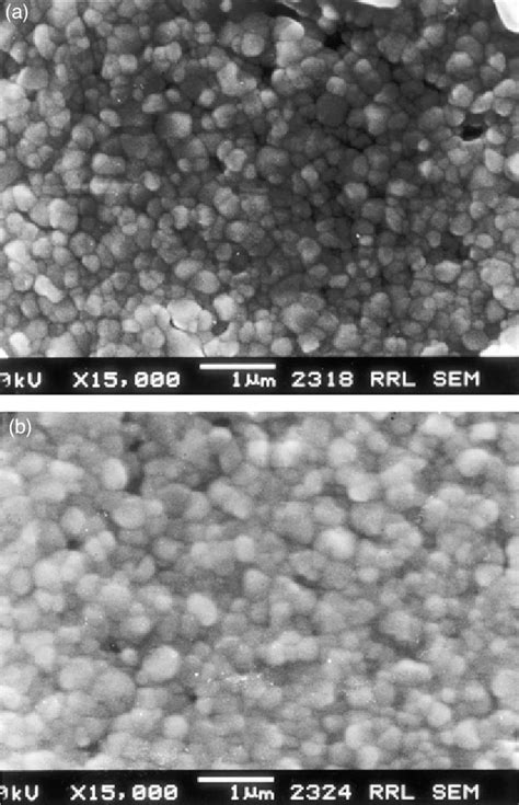 Scanning electron micrographs of the Ba 2 PrHfO 5.5 samples sintered at ... 