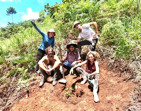 Proyectos Ecológicos Perú Help with us out on the land