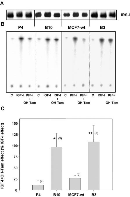 Protein Tyrosine Phosphatase PTPL1 FAP 1 Triggers Apoptosis In Human