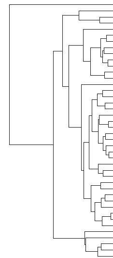 Dendrogram Obtained From An Average Linkage Cluster Analysis