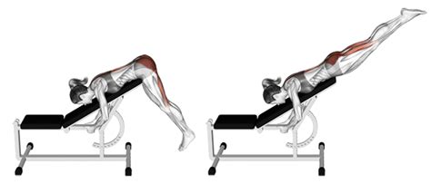 Reverse Hyperextension Machine A Superior Exercise For Your Posterior