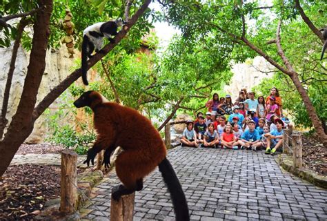 Bioparc Valencia Conmemora El D A De Biodiversidad Y Abre Las