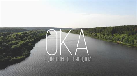 Отдых на Оке - YouTube