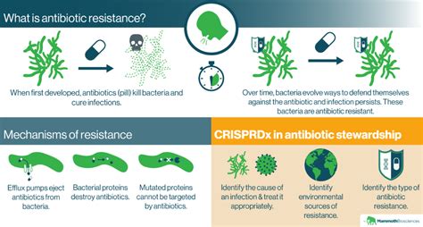 Antibiotic Resistance How It Works And How We Can Fight It With