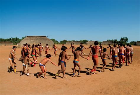 Indios Brasileiros Zarabatana Pesquisa Google Indios Brasileiros