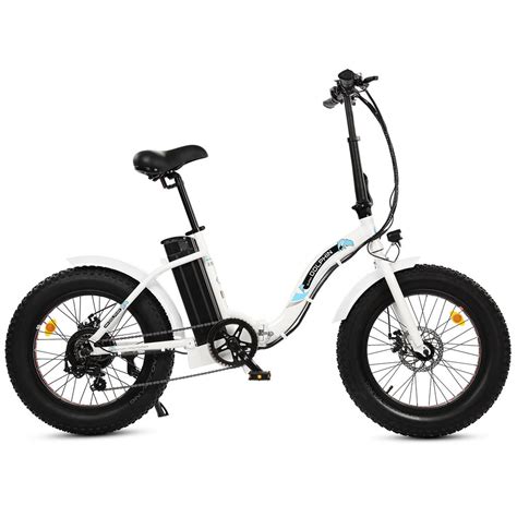 Ecotric 48v 175ah 1000w Big Fat Tire Ebike Bison Matt Black