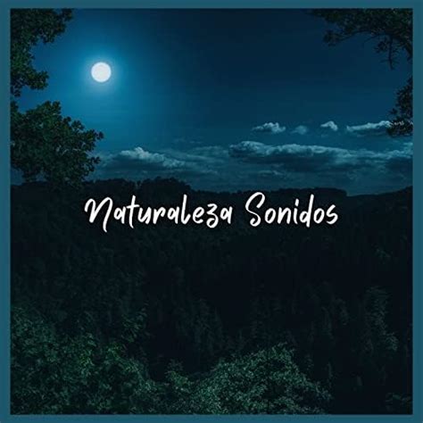 Amazon MusicでSonido Del Bosque y NaturalezaのNaturaleza Sonidosを再生する