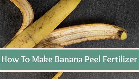 3 Ways To Make Banana Peel Fertilizer High Country Farms