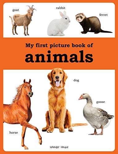 My First Picture Book Of Animals English Edition Ebook Wonder House