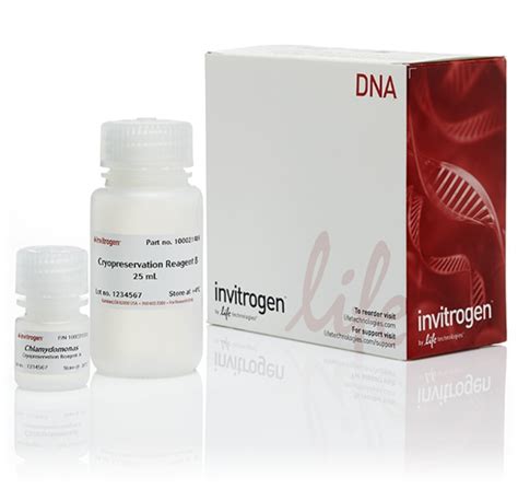 Invitrogen™ GeneArt™ Cryopreservation Kit for Algae 100 Preps ...