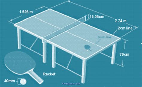 Cara Menggambar Lapangan Tenis Meja Beserta Ukuran Lapangan Tenis Meja Otosection