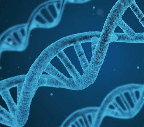 Hidden Dna Fragment The Trigger Switch For Male Development Institute For Molecular