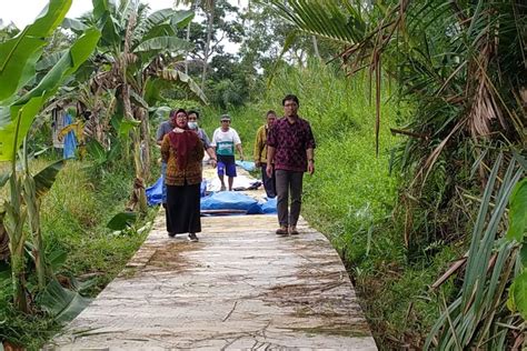 Pembangunan 90 Proyek Jalan Usaha Tani Di Paser Selesai ANTARA News