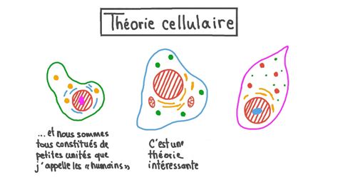 Vidéo de la leçon Théorie cellulaire Nagwa