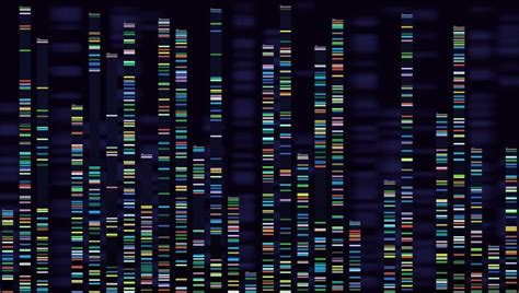 First Fully Complete Human Genome Has Been Published After 20 Years