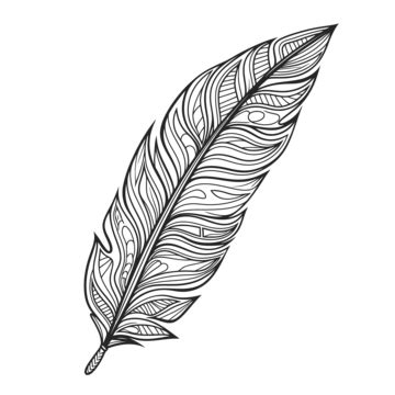 Easy Feather Drawing PNG Transparent Images Free Download | Vector ...