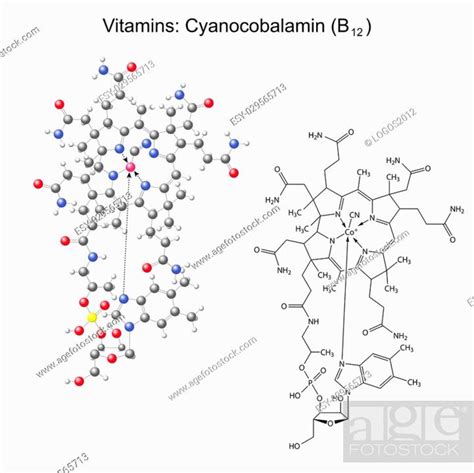 Structural Chemical Formula And Model Of Vitamin B12 Cyanocobalamin 2d And 3d Illustration