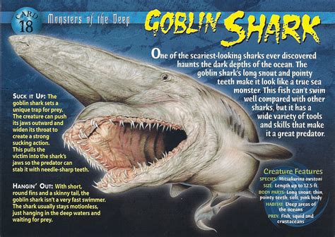 Goblin Shark | Wierd N'wild Creatures Wiki | FANDOM powered by Wikia