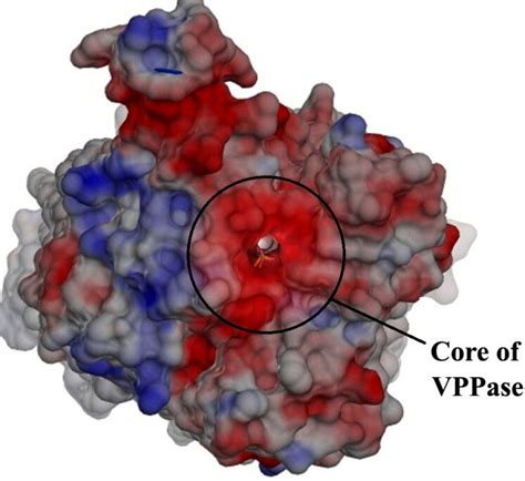 b. The core of model contains IDP binding site which is represented ... 