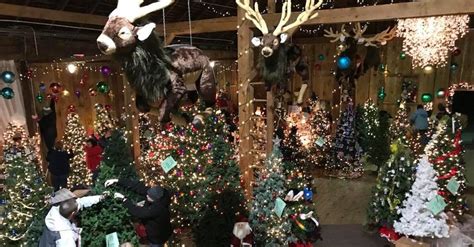 Visit This Christmas Barn At The Barn At Springfield Farm In Maryland