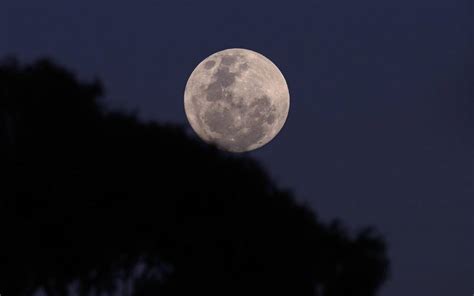 Lluvia De Estrellas Perseidas Y Superlunas Conoce Los Eventos